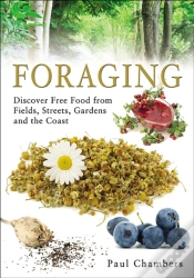 Capa do artigo Foraging