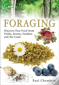 Capa do artigo Foraging