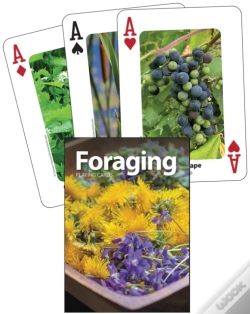 Capa do artigo Foraging Playing Cards