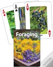 Capa do artigo Foraging Playing Cards