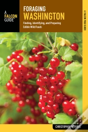 Capa do artigo Foraging Washington
