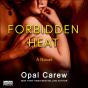 Forbidden Heat - Preview