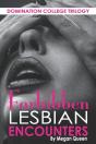 Forbidden Lesbian Encounters - Preview