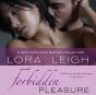 Forbidden Pleasure - Preview