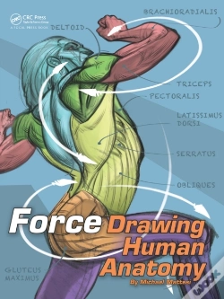 Capa do artigo Force: Drawing Human Anatomy