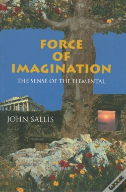 Capa do artigo Force Of Imagination