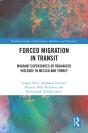 Forced Migration In Transit - Preview