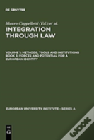 Forces And Potential For A European Identity