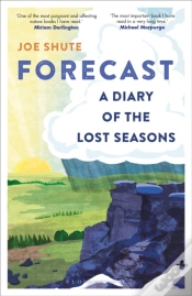 Capa do artigo Forecast