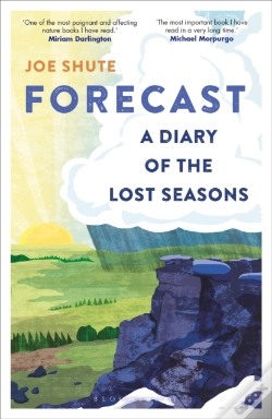 Capa do artigo Forecast