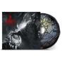 Foregone - CD - Preview