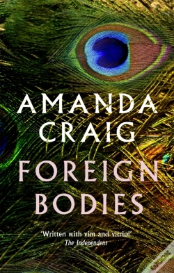 Capa do artigo Foreign Bodies