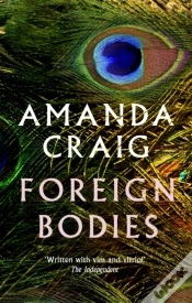 Capa do artigo Foreign Bodies