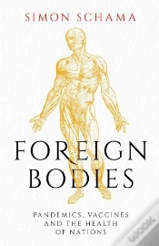 Capa do artigo Foreign Bodies
