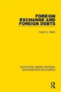 Foreign Exchange And Foreign Debts - Preview