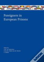 Foreigners In European Prisons