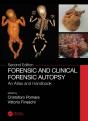 Forensic And Clinical Forensic Autopsy - Preview