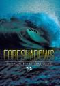 Foreshadows - Preview