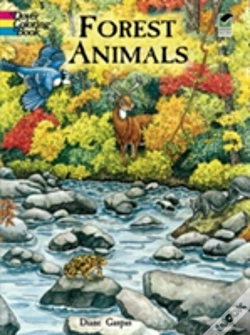 Capa do artigo Forest Animals Colouring Book