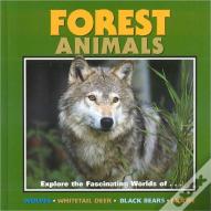 Forest Animals