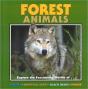 Forest Animals - Preview