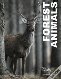 Forest Animals