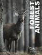 Forest Animals - Preview