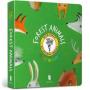 Forest Animals