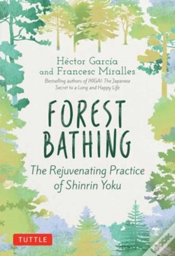 Capa do artigo Forest Bathing