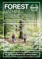 Forest Bathing - Preview