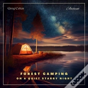 Capa do artigo Forest Camping On A Quiet Starry Night