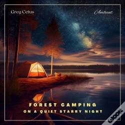 Capa do artigo Forest Camping On A Quiet Starry Night