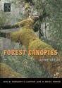 Forest Canopies - Preview