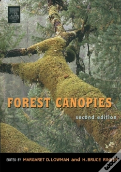 Capa do artigo Forest Canopies