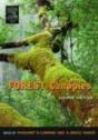 Forest Canopies - Preview