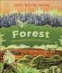 Forest - Preview