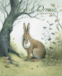 Forest Dream - Preview