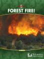 Forest Fire! - Preview