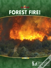 Capa do artigo Forest Fire!