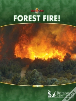 Capa do artigo Forest Fire!