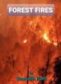 Forest Fires - Preview