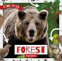 Forest Food Webs - Preview