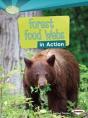 Forest Food Webs In Action - Preview