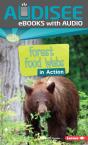 Forest Food Webs In Action - Preview