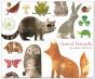 Forest Friends Quicknotes - Preview