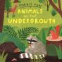 Forest Fun: Animals In The Undergrowth - Preview
