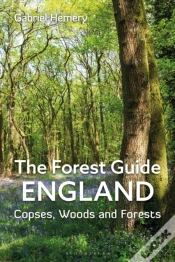 Capa do artigo Forest Guide: England