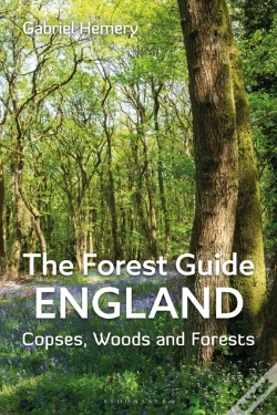 Capa do artigo Forest Guide: England