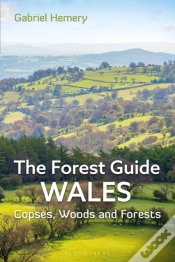 Capa do artigo Forest Guide: Wales