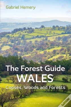 Capa do artigo Forest Guide: Wales